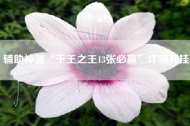 辅助神器“千王之王13张必赢”详细开挂