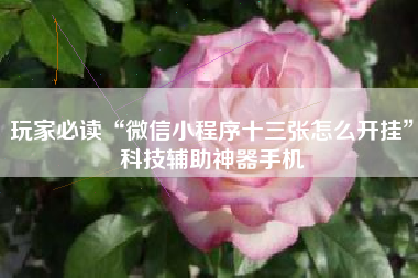 玩家必读“微信小程序十三张怎么开挂”科技辅助神器手机