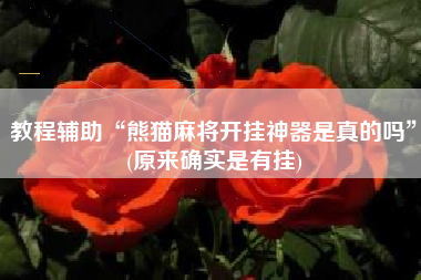 教程辅助“熊猫麻将开挂神器是真的吗	”(原来确实是有挂)