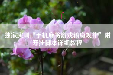 独家实测“手机麻将游戏输赢规律”附开挂脚本详细教程