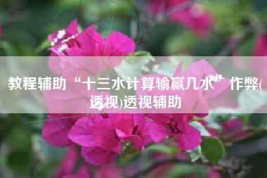 教程辅助“十三水计算输赢几水	”作弊(透视)透视辅助