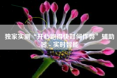 独家实测“开心跑得快如何作弊”辅助器 - 实时智能