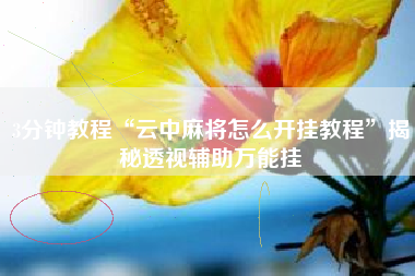 3分钟教程“云中麻将怎么开挂教程”揭秘透视辅助万能挂