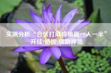实测分析“合伙打麻将输赢一人一半”开挂(透视)辅助神器