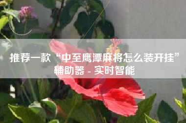 推荐一款“中至鹰潭麻将怎么装开挂	”辅助器 - 实时智能