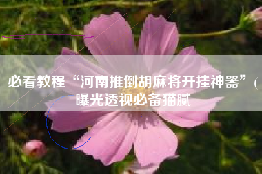 必看教程“河南推倒胡麻将开挂神器”(曝光透视必备猫腻