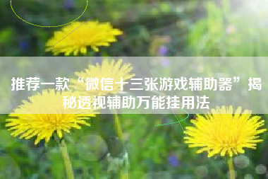 推荐一款“微信十三张游戏辅助器”揭秘透视辅助万能挂用法