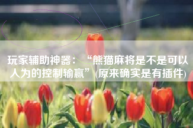 玩家辅助神器：“熊猫麻将是不是可以人为的控制输赢”(原来确实是有插件)