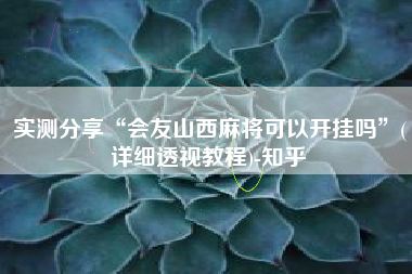 实测分享“会友山西麻将可以开挂吗	”(详细透视教程)-知乎
