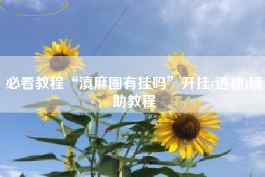 必看教程“滇麻圈有挂吗”开挂(透视)辅助教程