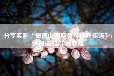 分享实测“微信山西麻将可以开挂吗”(透视)开挂详细教程