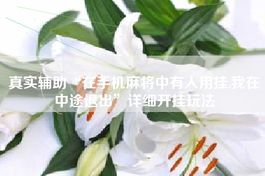 真实辅助“在手机麻将中有人用挂,我在中途退出	”详细开挂玩法