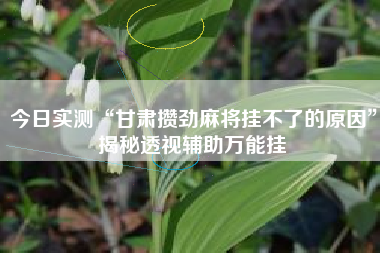 今日实测“甘肃攒劲麻将挂不了的原因	”揭秘透视辅助万能挂