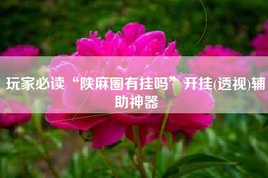 玩家必读“陕麻圈有挂吗”开挂(透视)辅助神器