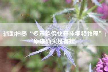 辅助神器“多乐跑得快开挂视频教程”(原来确实是有挂)