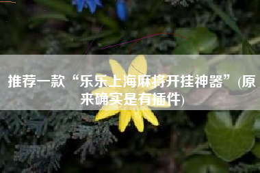 推荐一款“乐乐上海麻将开挂神器”(原来确实是有插件)