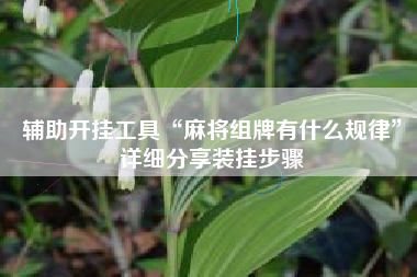 辅助开挂工具“麻将组牌有什么规律”详细分享装挂步骤