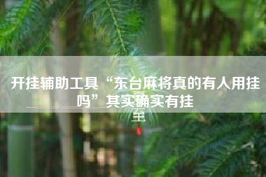 开挂辅助工具“东台麻将真的有人用挂吗”其实确实有挂