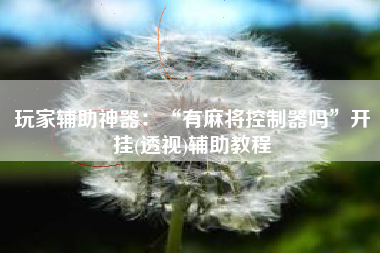 玩家辅助神器：“有麻将控制器吗”开挂(透视)辅助教程