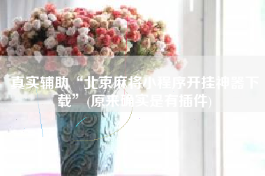 真实辅助“北京麻将小程序开挂神器下载”(原来确实是有插件)