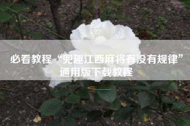 必看教程“兜趣江西麻将有没有规律”通用版下载教程