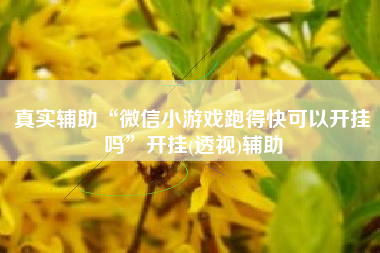 真实辅助“微信小游戏跑得快可以开挂吗”开挂(透视)辅助