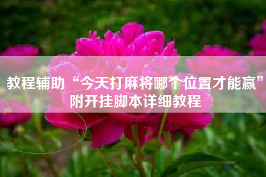 教程辅助“今天打麻将哪个位置才能赢	”附开挂脚本详细教程