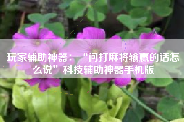 玩家辅助神器：“问打麻将输赢的话怎么说	”科技辅助神器手机版