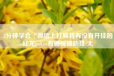 3分钟学会“微信上打麻将有没有开挂的红龙poker有透视辅助挂(太 3分钟学会“微信上打麻将有没有开挂的红龙poker有透视辅助挂(太