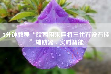 3分钟教程“陕西闲来麻将三代有没有挂”辅助器 - 实时智能