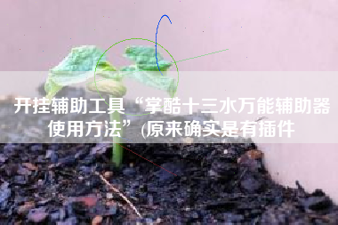 开挂辅助工具“掌酷十三水万能辅助器使用方法”(原来确实是有插件