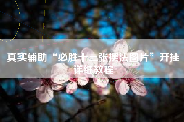 真实辅助“必胜十三张摆法图片”开挂详细教程