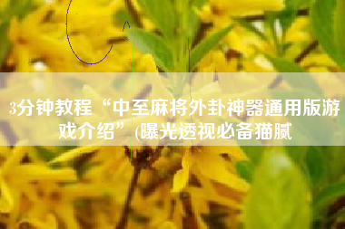 3分钟教程“中至麻将外卦神器通用版游戏介绍”(曝光透视必备猫腻