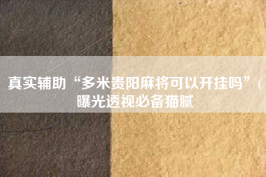 真实辅助“多米贵阳麻将可以开挂吗”(曝光透视必备猫腻