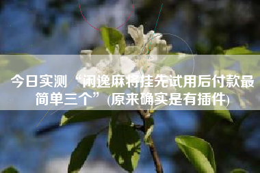 今日实测“闲逸麻将挂先试用后付款最简单三个”(原来确实是有插件)