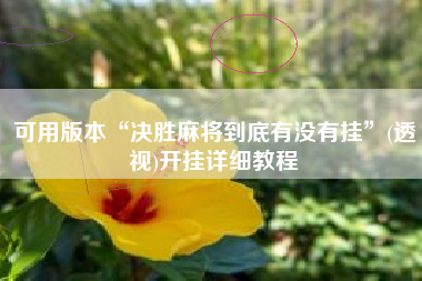 可用版本“决胜麻将到底有没有挂”(透视)开挂详细教程