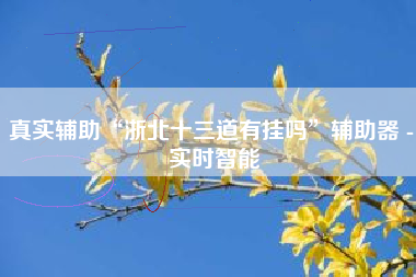 真实辅助“浙北十三道有挂吗”辅助器 - 实时智能
