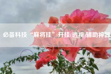 必备科技“麻将挂	”开挂(透视)辅助神器