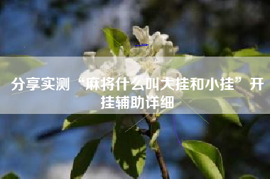 分享实测“麻将什么叫大挂和小挂	”开挂辅助详细