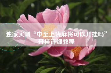 独家实测“中至上饶麻将可以开挂吗”开挂详细教程