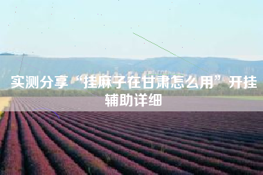 实测分享“挂麻子在甘肃怎么用”开挂辅助详细