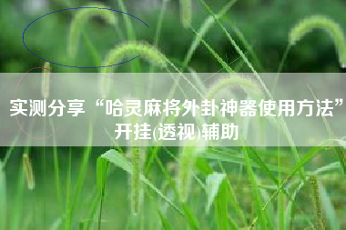 实测分享“哈灵麻将外卦神器使用方法”开挂(透视)辅助