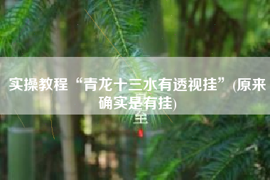 实操教程“青龙十三水有透视挂”(原来确实是有挂)
