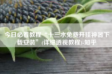 今日必看教程“十三水免费开挂神器下载安装”(详细透视教程)-知乎