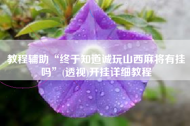 教程辅助“终于知道诚玩山西麻将有挂吗”(透视)开挂详细教程