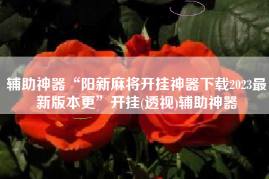 辅助神器“阳新麻将开挂神器下载2023最新版本更”开挂(透视)辅助神器