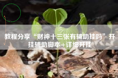 教程分享“财神十三张有辅助挂吗	”开挂辅助脚本+详细开挂