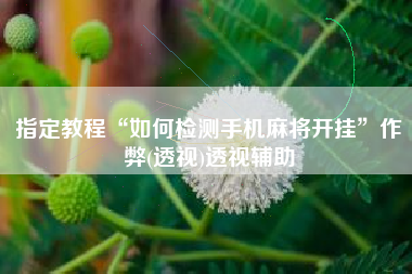 指定教程“如何检测手机麻将开挂”作弊(透视)透视辅助