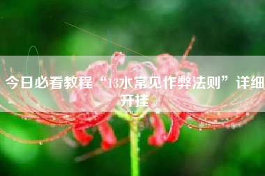 今日必看教程“13水常见作弊法则”详细开挂
