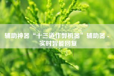 辅助神器“十三道作弊机器”辅助器 - 实时智能回复